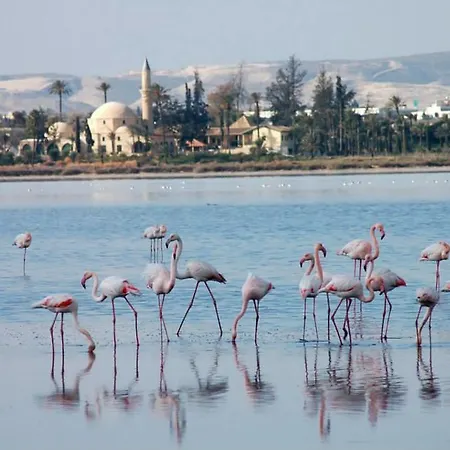 Apartment Penelope Court 102