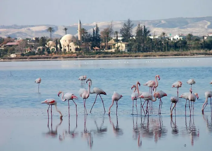 Apartmán Penelope Court 102